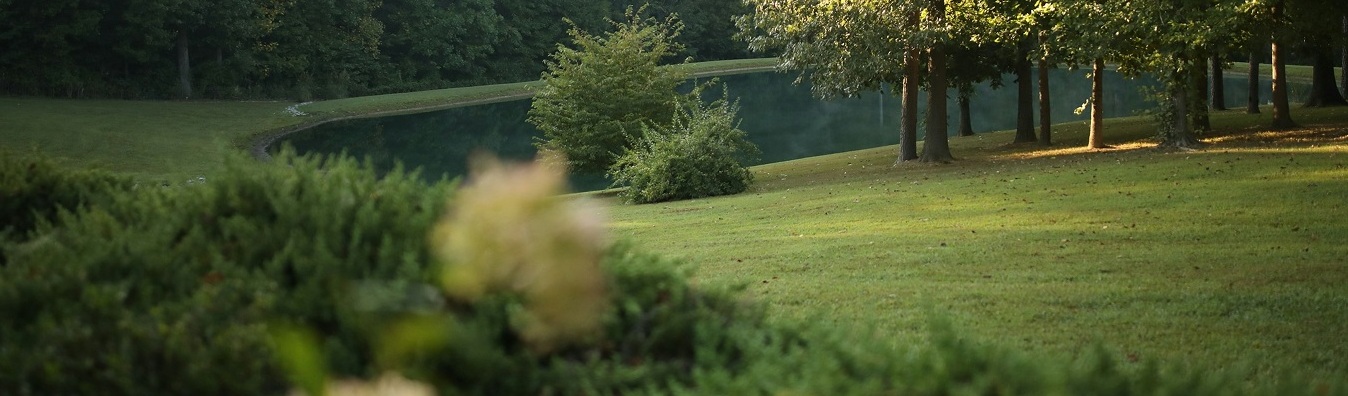 photo-1695036084568-6dd4457d7c57