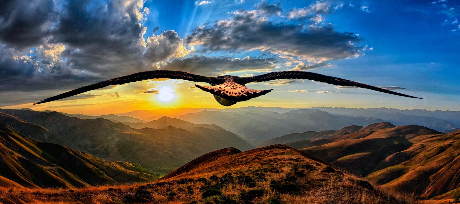 IBD Advanced Management Program (IBD AMP)