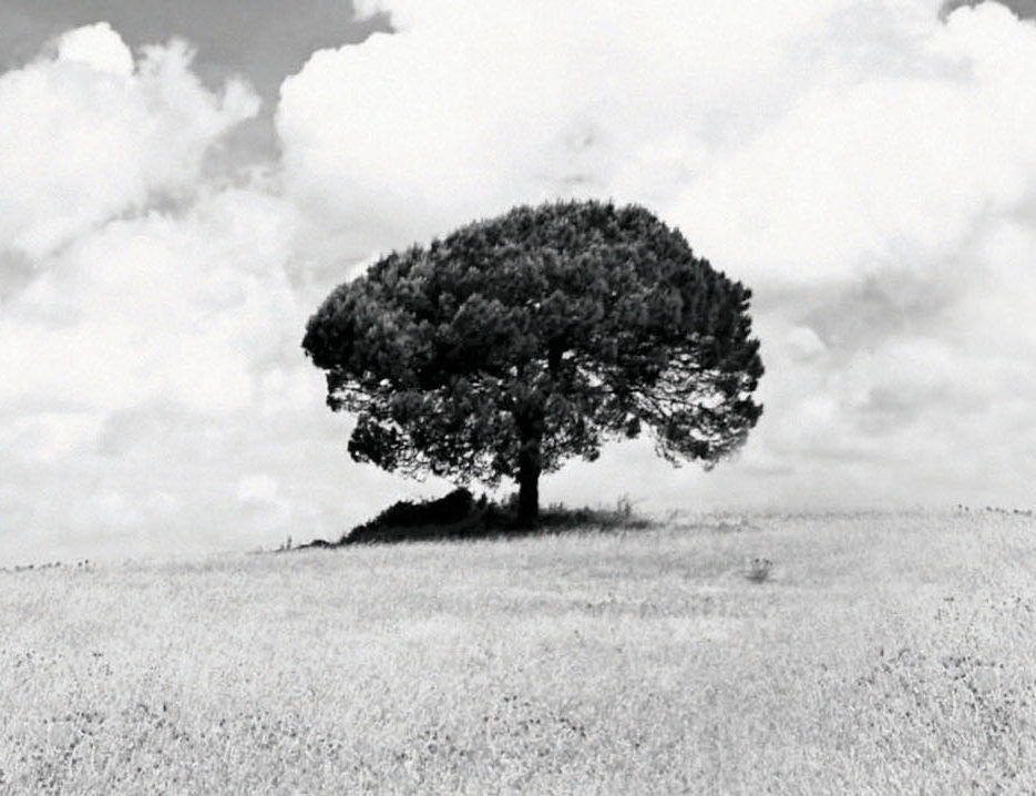 Introduction to Coaching