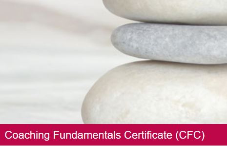 Podstawowy Kurs Coachingu CFC – Zdobądź Certyfikat Online
