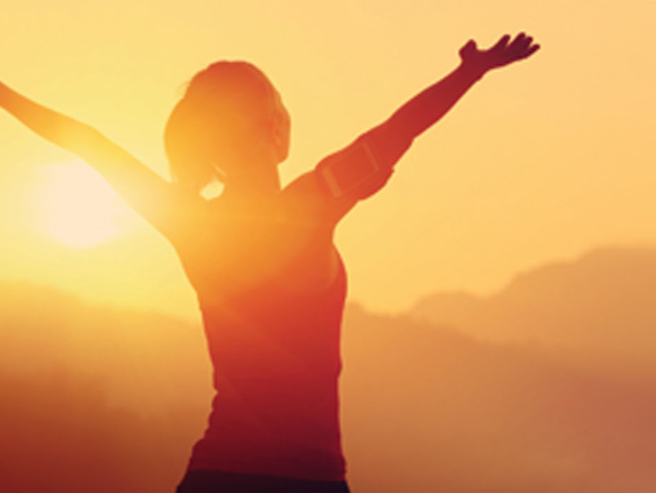 Practitioner Coach Diploma (PCD)