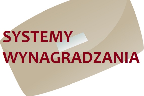 Systemy wynagradzania w organizacjach