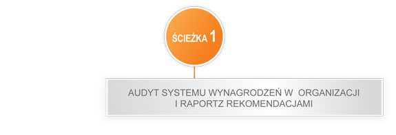 Wynagrodzenie-Pakietowe-sciezka-1