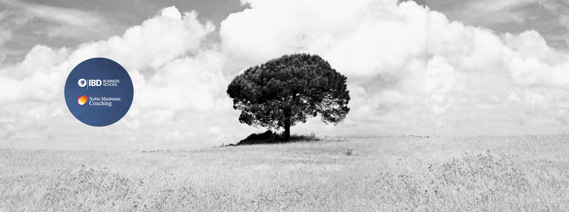 Dlaczego coaching to zawód przyszłości w erze cyfrowej transformacji?