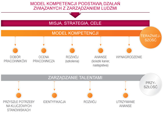 model-kompetencji