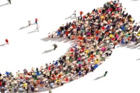 Systemy wynagradzania w organizacjach