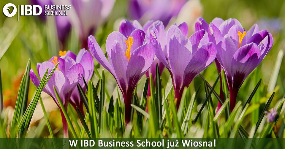 Wiosna-w-IBD-Facebook-Promocje