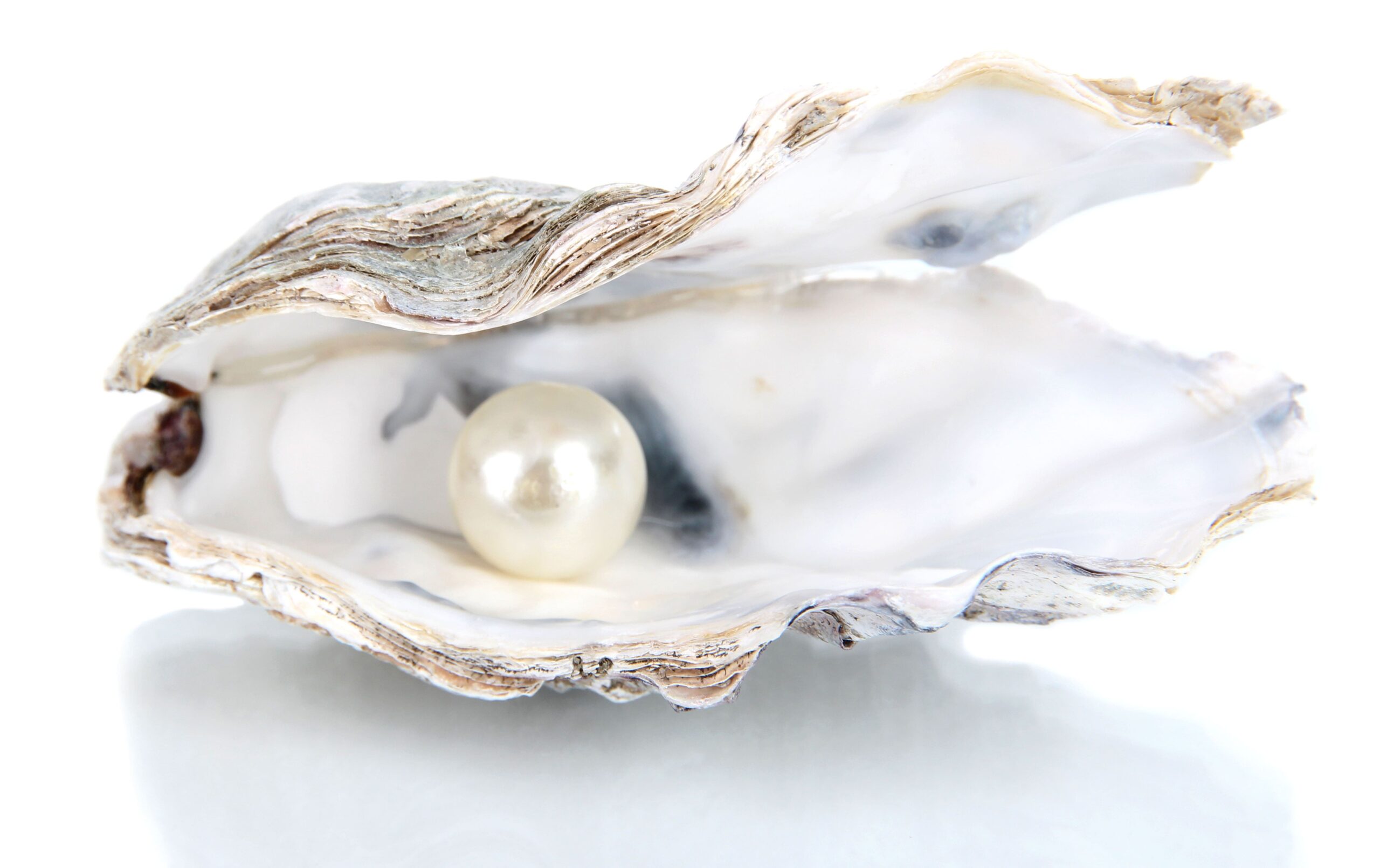 Certificate in Talent and Career Management