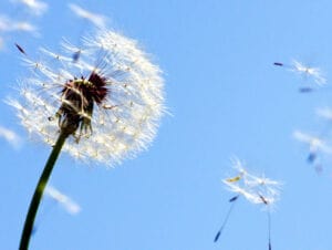 Coaching Wartości – klucz do autentycznego i spełnionego życia